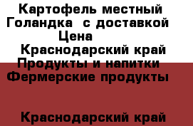 Картофель местный “Голандка“ с доставкой › Цена ­ 25 - Краснодарский край Продукты и напитки » Фермерские продукты   . Краснодарский край